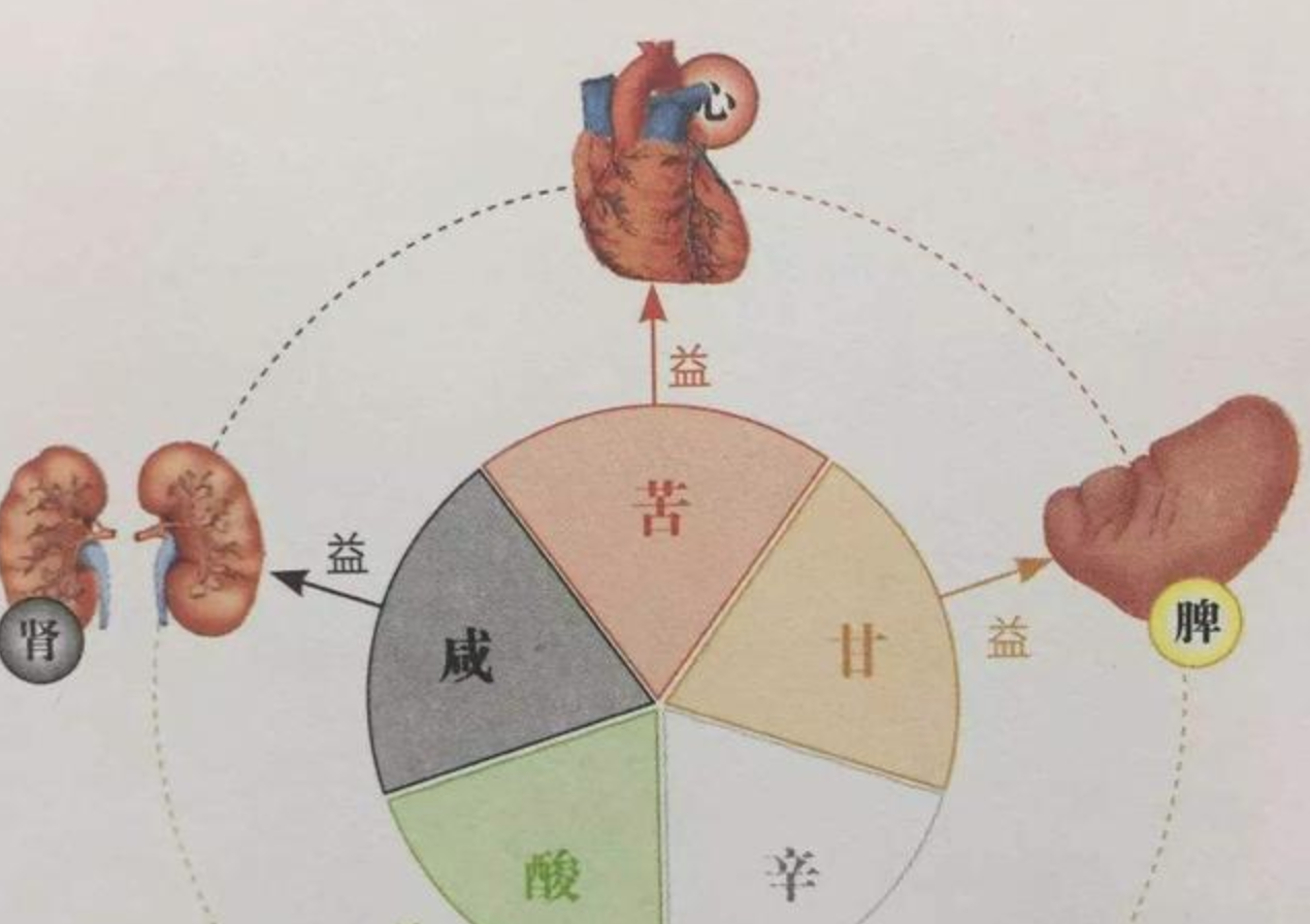 养生知识：酸走筋，辛走气...吃东西前要看看五味的走向！